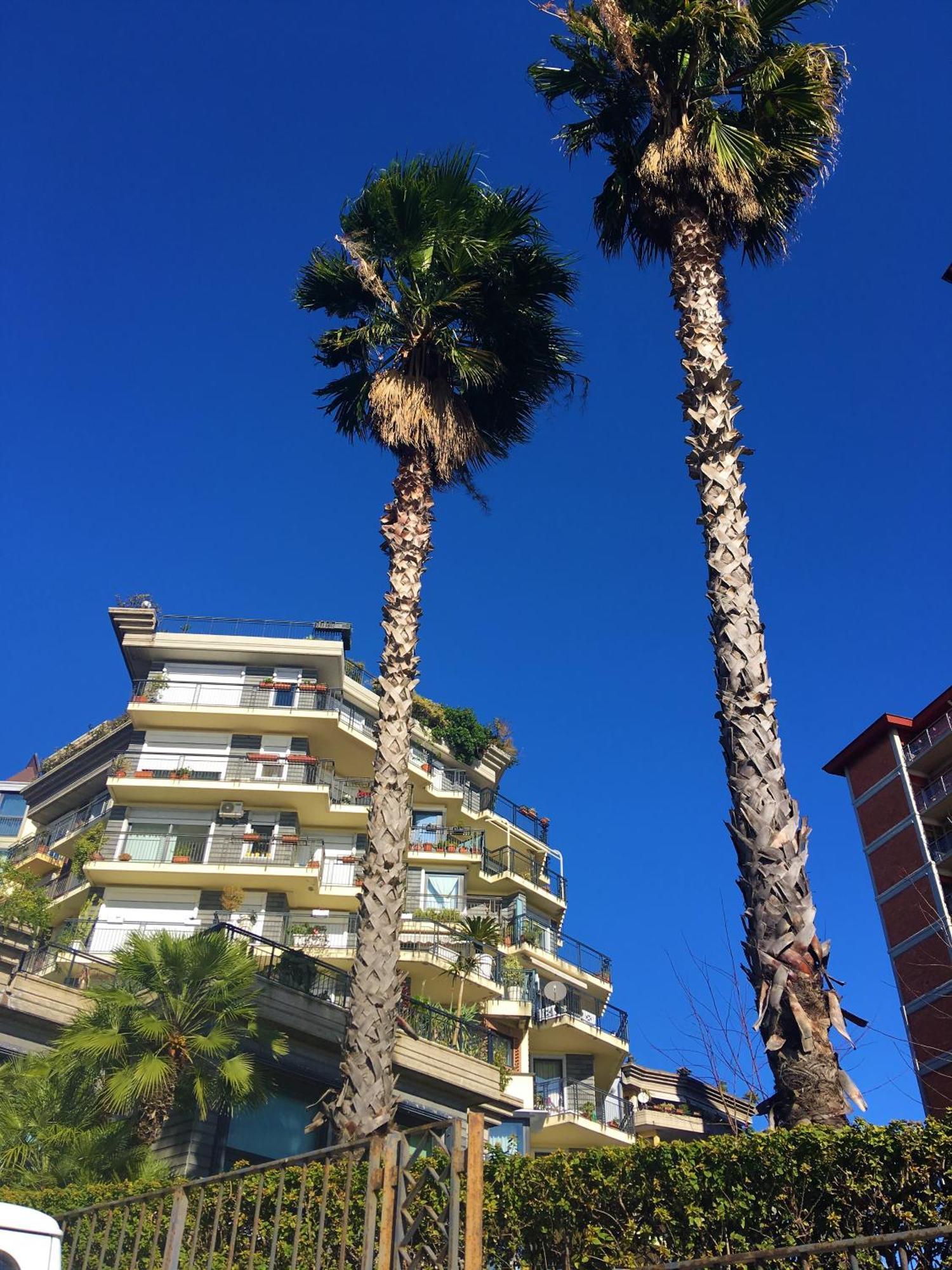 Seafront In The City Hotel Catania Exterior foto
